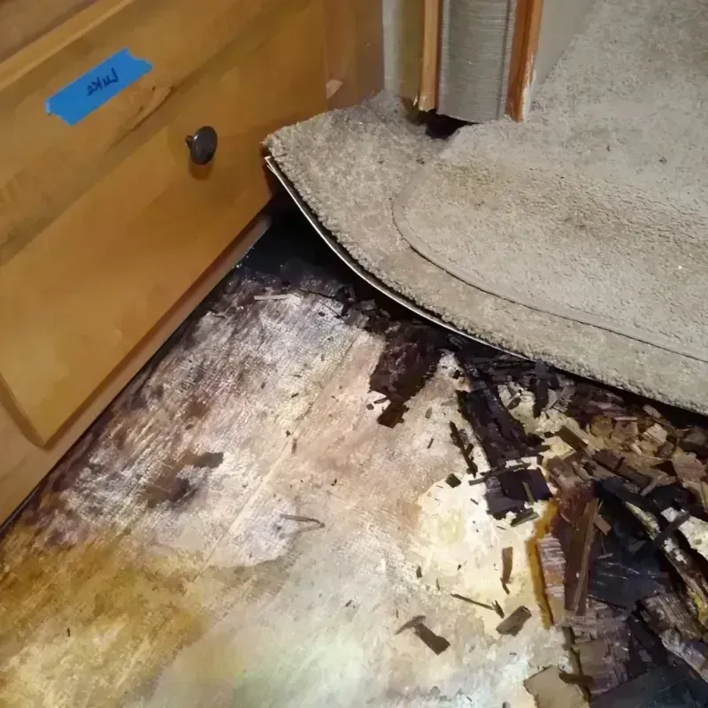 Wood Floor Water Damage in Clinton County, MI